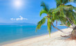 tropical beach with coconut palm tropical beach with coconut palm
