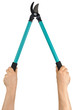 Hands with Loppers