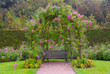 Single bench in the park under pink roses