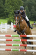 Reiten