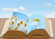 Book and the blue sky behind
