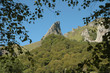 La dent de la rancune à travers les arbres