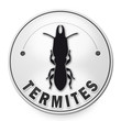 Diagnostic immobilier : les termites