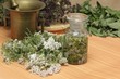 Medicinal herbs yarrow, thyme