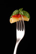 rigatoni, salsa e basilico rigatoni, salsa e basilico