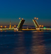 Night view of Palace Bridge, Saint Petersburg, Russia