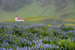 Small white church in Vik, Iceland
