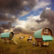 Old Gypsy Caravans, Trailers, Wagons with Horses
