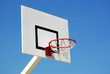 Basketball panel