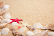 treasure from the sea