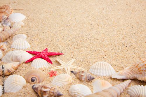 Foto: treasure from the sea treasure from the sea