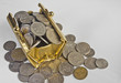 Coins in Bag