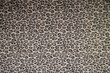 cats pattern