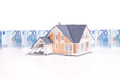 Money and house
