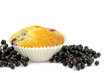 Muffin mit Holunderbeeren