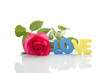 Red Rose and the text of "LOVE"