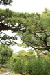 日本庭園