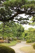 日本庭園