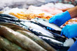 Pair of hands handling several dead fish