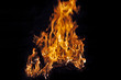 Feuer (4)