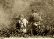 World War II soldiers