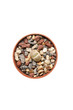 Foto: Small Lithops Small Lithops