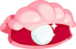 illustration Pearl oysters vector illustration Pearl oysters vector
