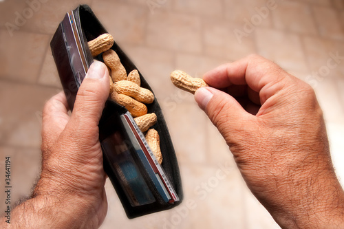 Photo: Working for peanuts Working for peanuts