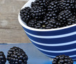Brombeeren in Schüssel