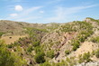 naturaleza indomita mediterranea naturaleza indomita mediterranea