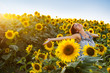 Photo: woman on blooming sunflower field woman on blooming sunflower field