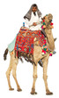 Bedouin on camel