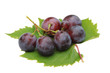 raisin rouge