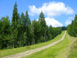 Bike tracks in Carpathian mountains Bike tracks in Carpathian mountains