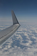 Wing