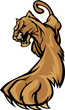 Cougar Mascot Body Prowling Graphic