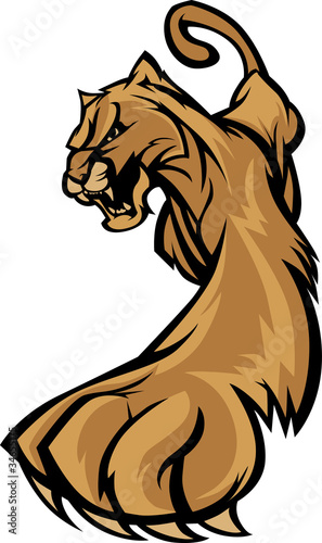 Vector: Cougar Mascot Body Prowling Graphic Cougar Mascot Body Prowling Graphic