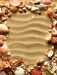 Foto: Sea shell on sand Sea shell on sand