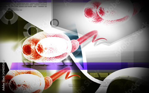 Illustration: Sperm Sperm