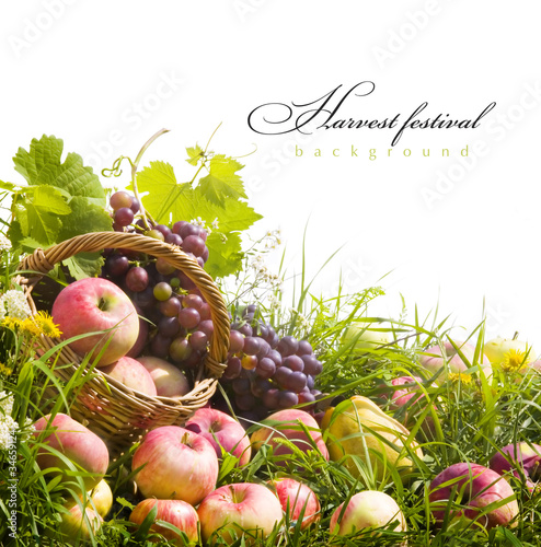 abstract art autumn background with fruit on the grass