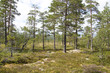 Schweden Dalarna Fulufjäll Nationalpark