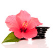 fleur d'hibiscus et galets plats empilés