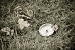 lost