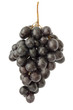 Bunch of grapes