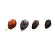 prune_08