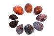 prune_05