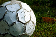 lederball