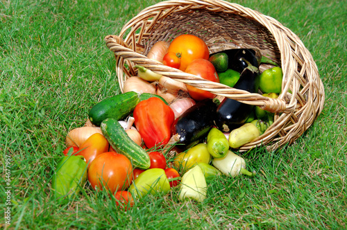 Photo: Basket with vegetables against a green grass Basket with vegetables against a green grass