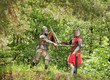 knights in armor is fighting