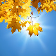 Autumn